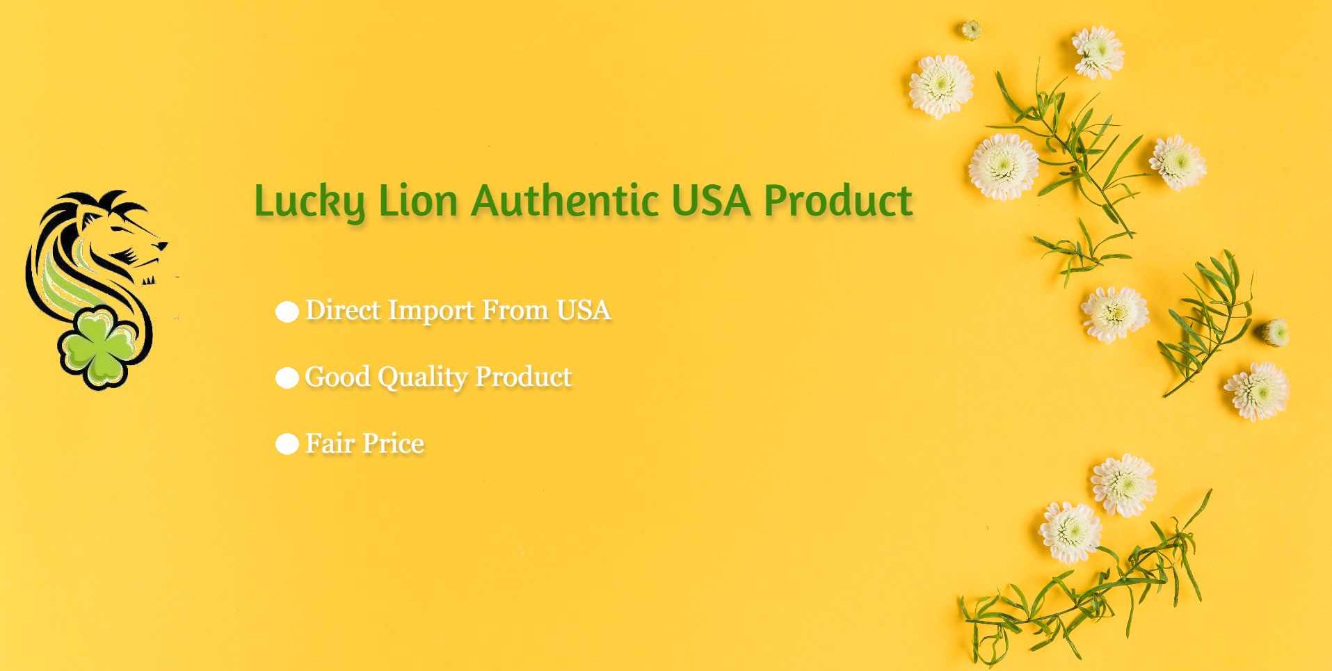luckylionslide1_1719906690.jpg